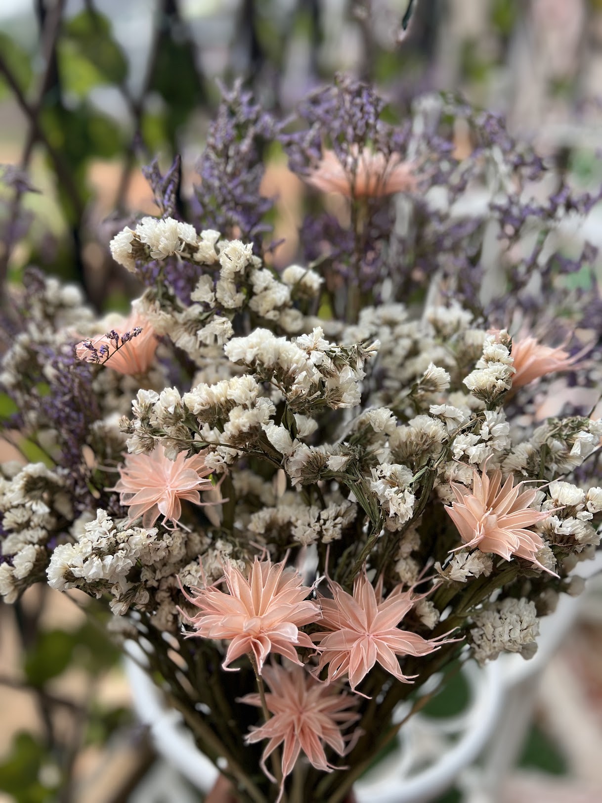 Bouquet of dried flowers with white and pink hues against a blurred natural background