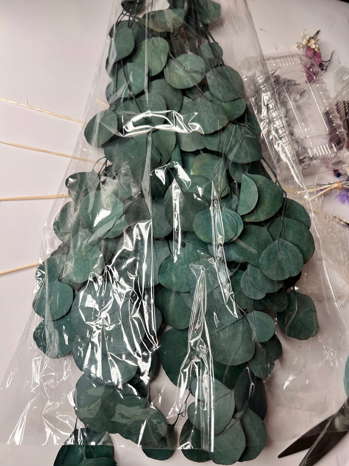 Eucalyptus-Green