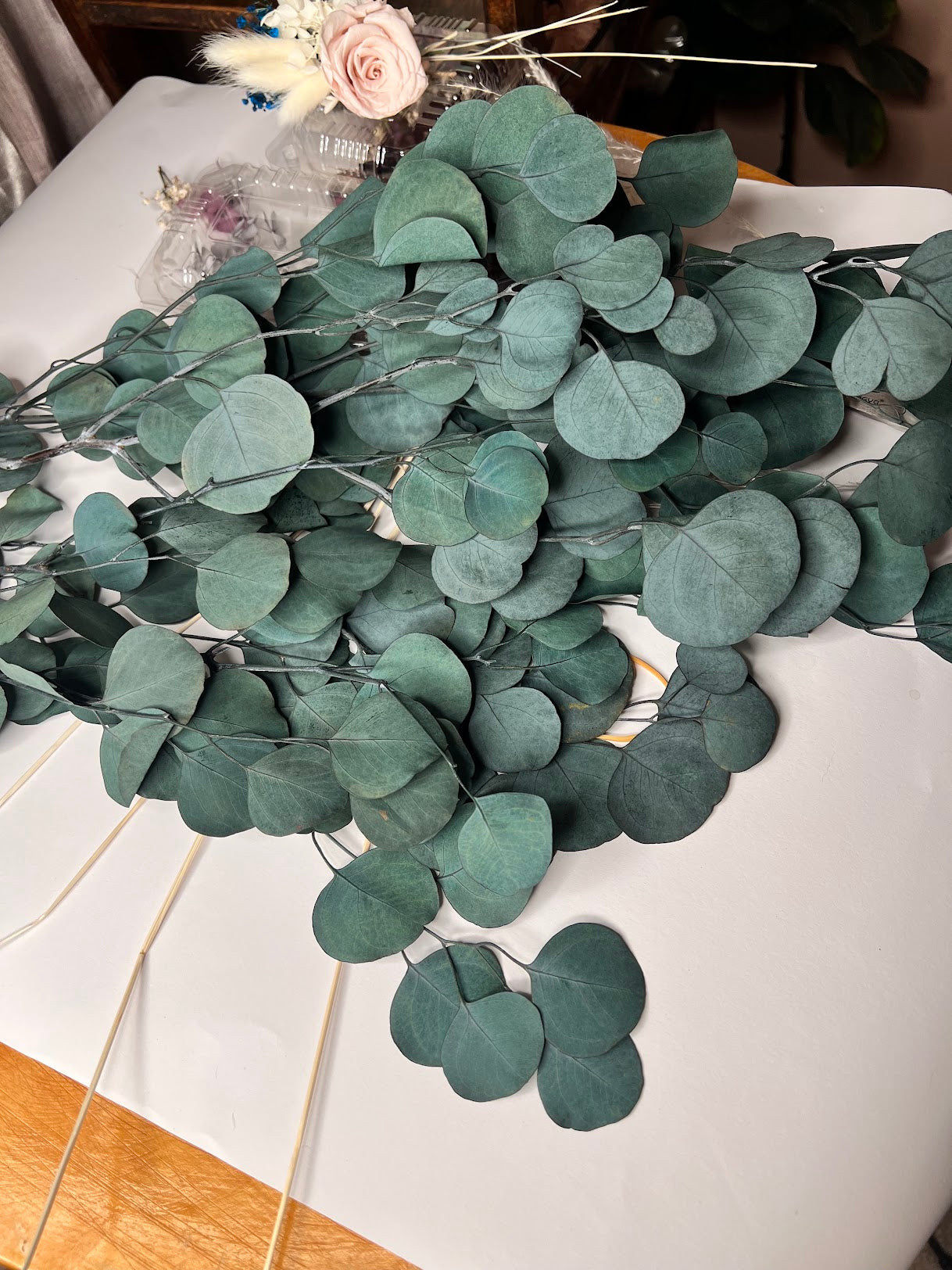 Eucalyptus-Green