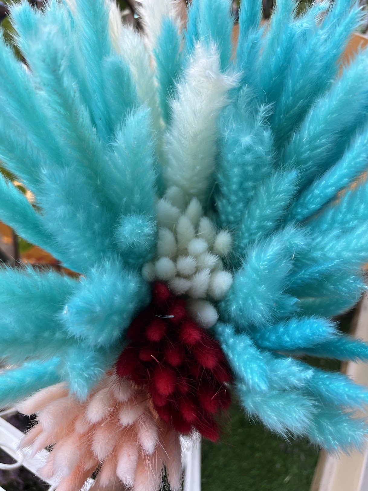 Small Pampas Grass