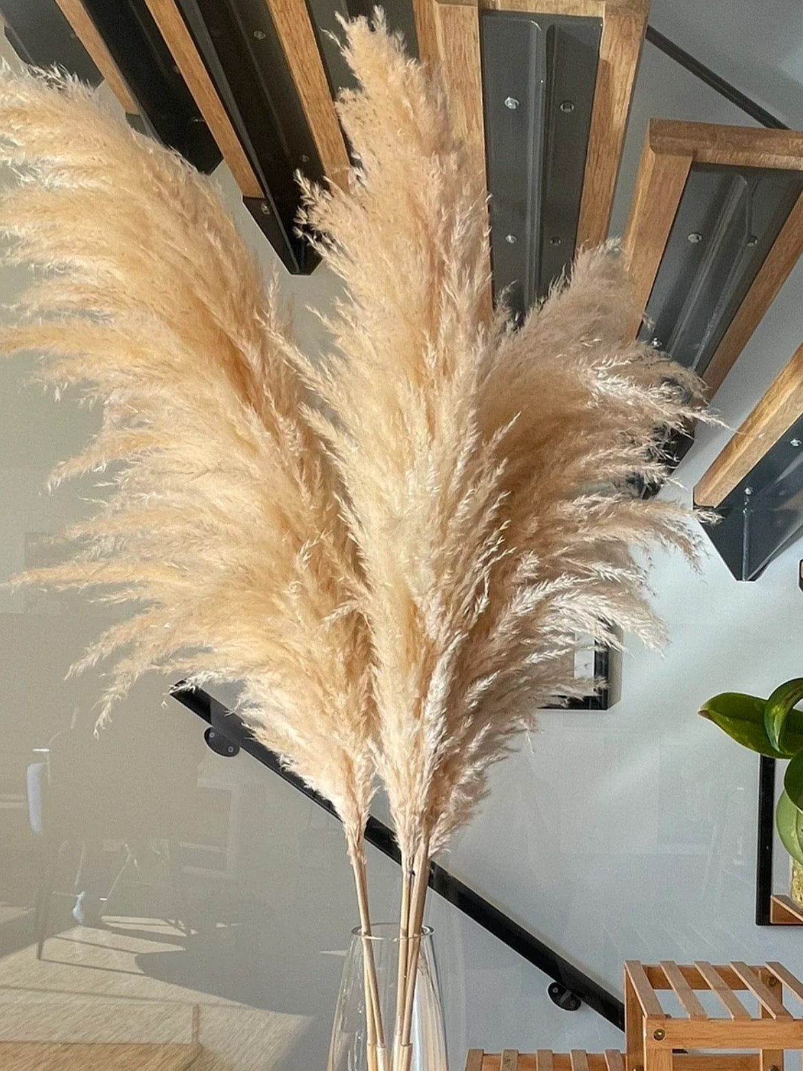 Beige pampas grass from Kenyan Lady Fleur dried flowers store set up in a glass vase.