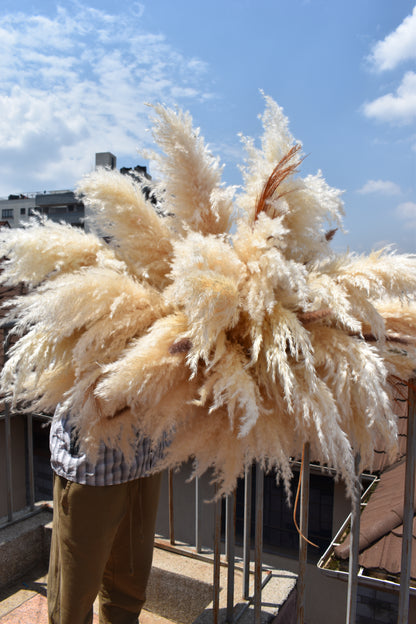 Pampas grass installation