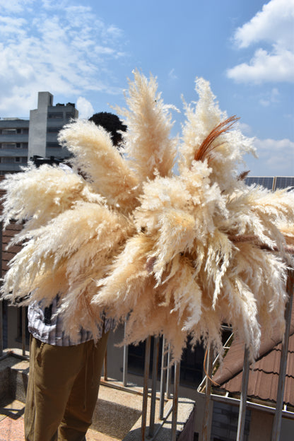 Pampas grass installation