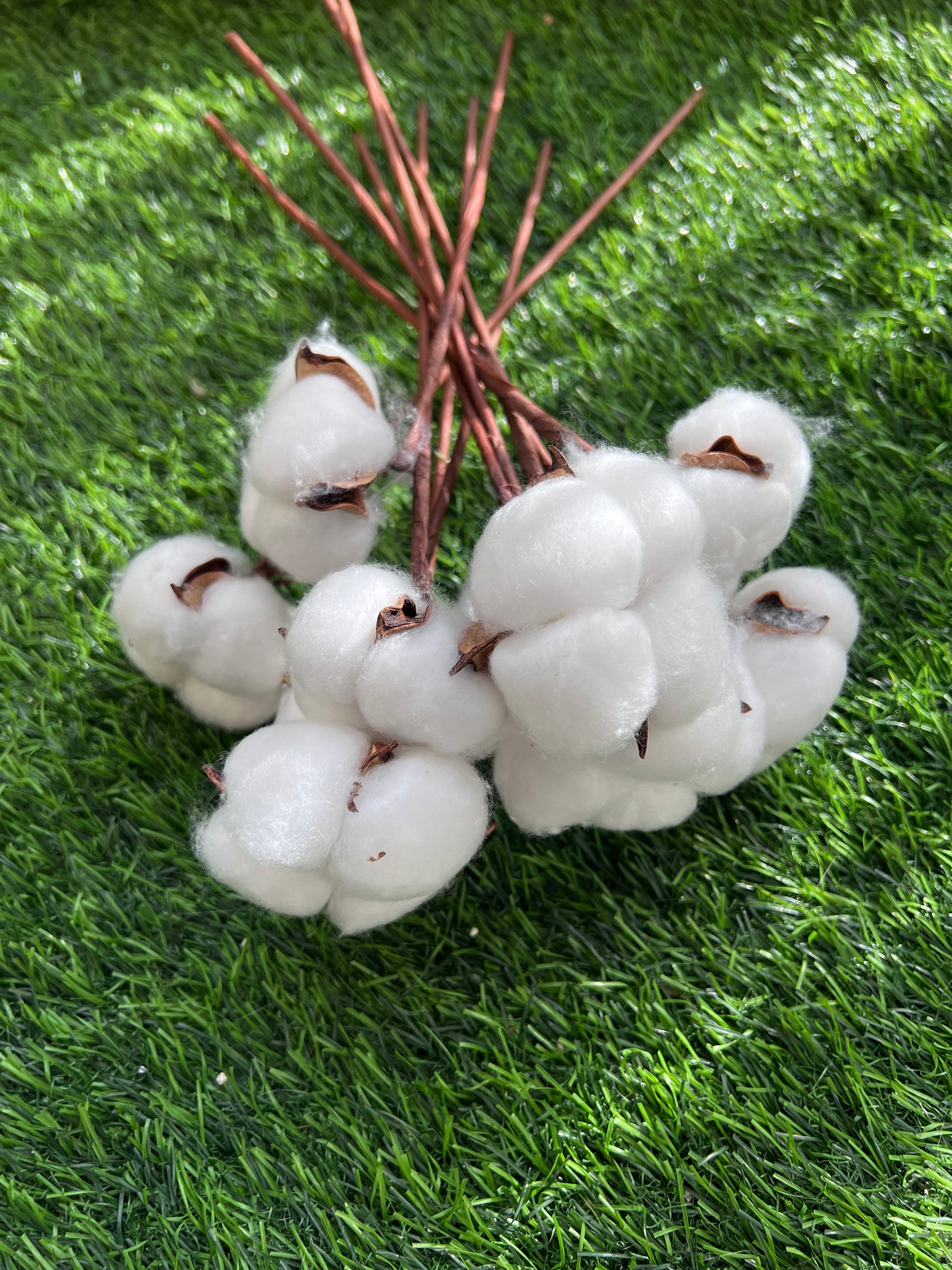 Cotton flower stems from kenyan lady fleur flower shop do minimalist home decor.