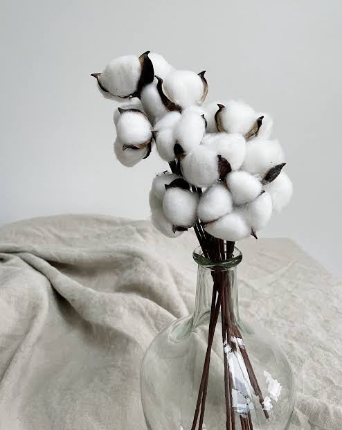 White Cotton flower stems from kenyan lady fleur flower shop for minimalist home decor.