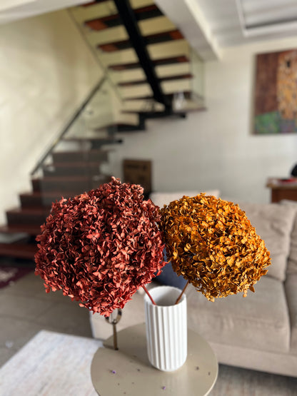 Two dried decorative flower spheres in rust red and golden orange from kenyan lady fleur dried flowers kenya, displayed in a white ribbed vase on a round side table in a living room setting.