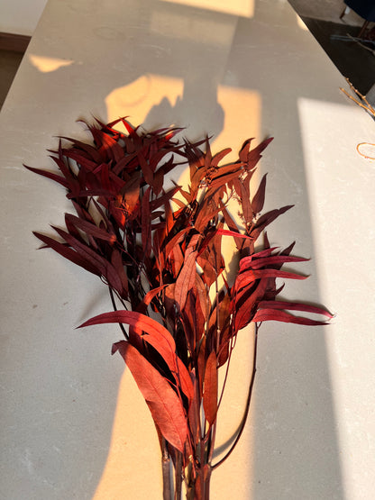 Leafy preserved flowers-Blue Gum