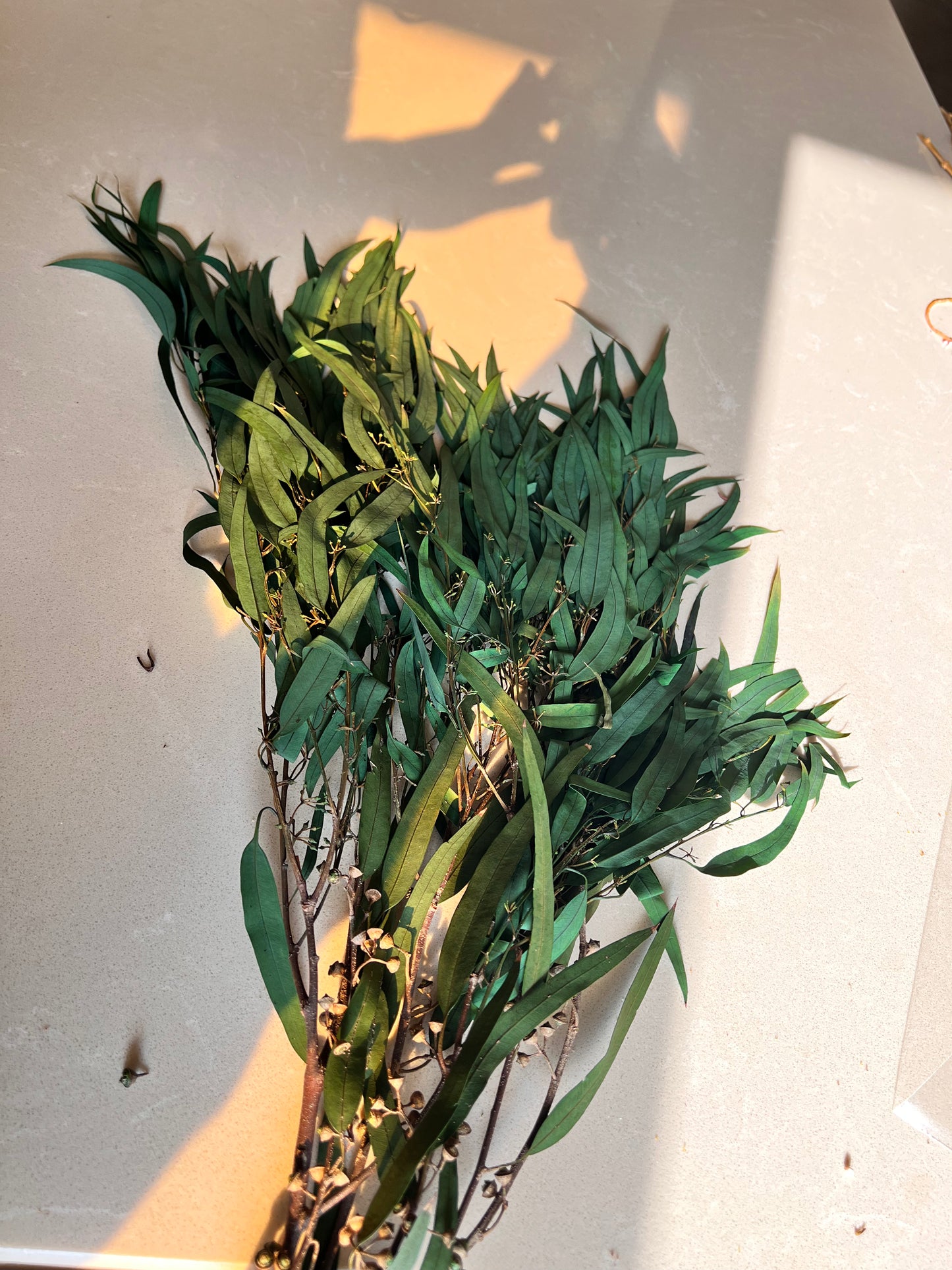 Leafy preserved flowers-Blue Gum