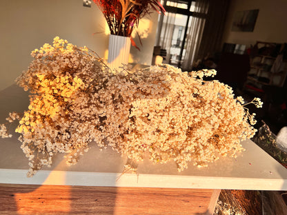 A large bundle of dried baby's breath flowers in soft cream and pale yellow tones, arranged across a tabletop in a warmly lit indoor setting sold at kenyan lady fleur dried flowers kenya.
