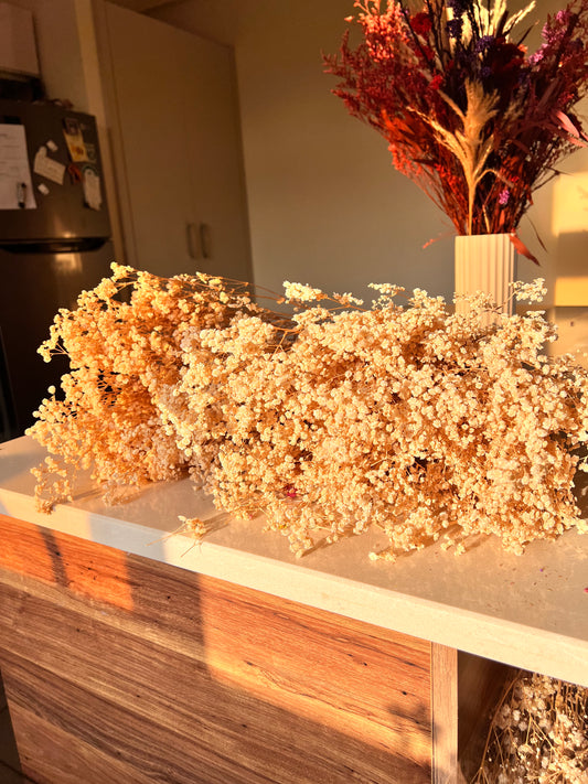 Large bundles of dried baby's breath flowers in a warm, golden light, sold at kenyan lady fleur at dried flowers kenya displayed on a wooden counter with a vase of similar dried flowers in the background.