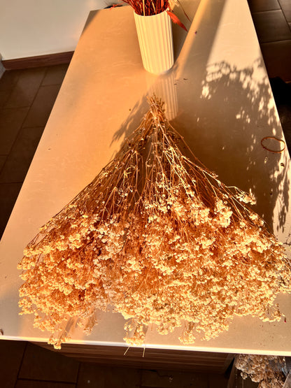 A large bundle of dried baby's breath flowers spread out on a light-colored table, with a white ribbed vase containing more stems visible in the background.