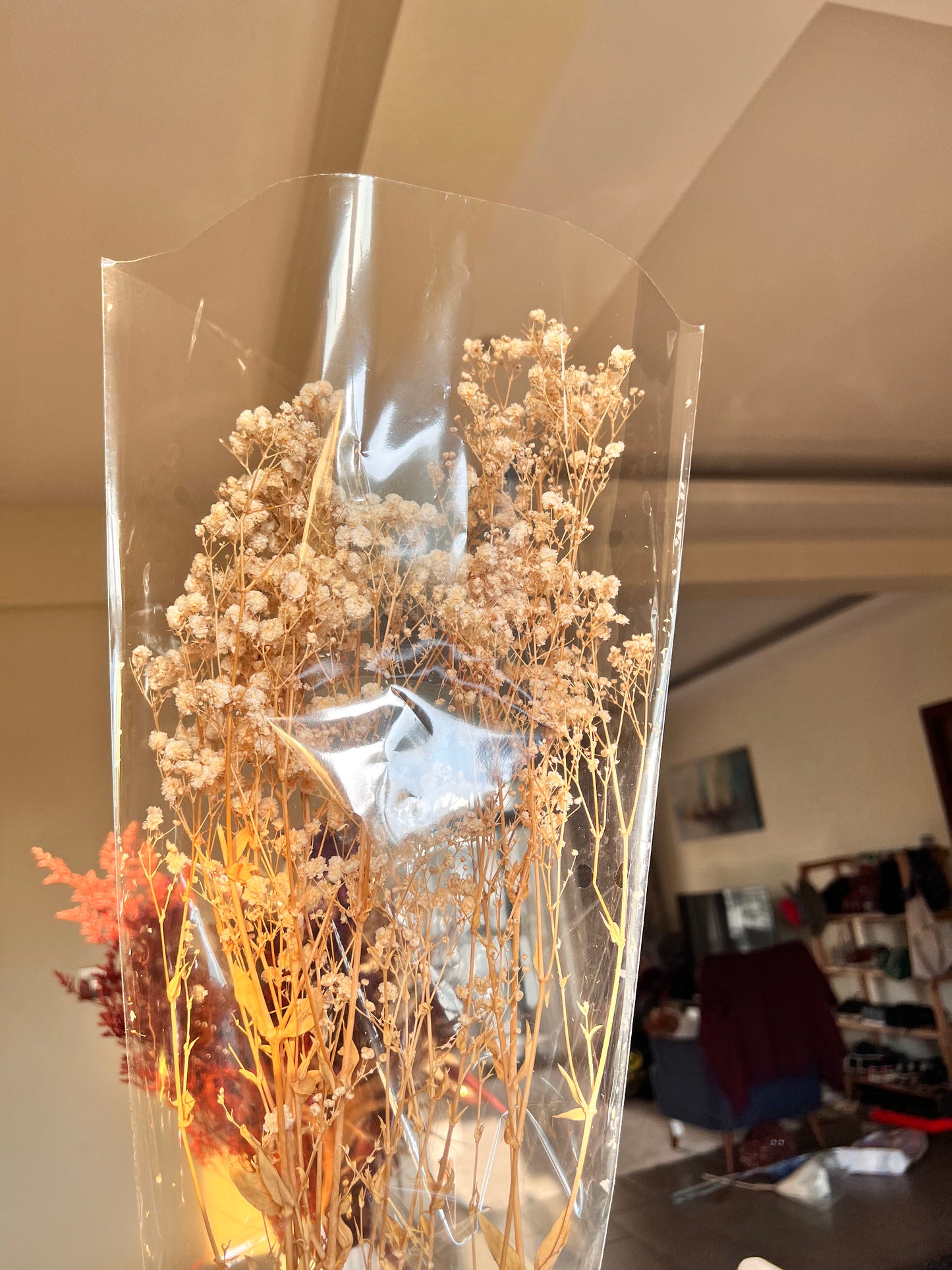 Baby's breath (Gypsophyla)