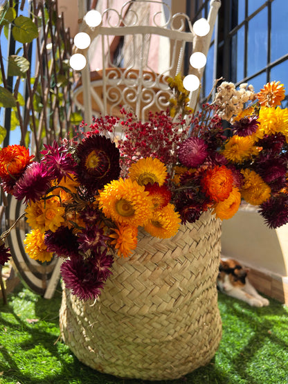 Everlastings (Everlasting Daisies)