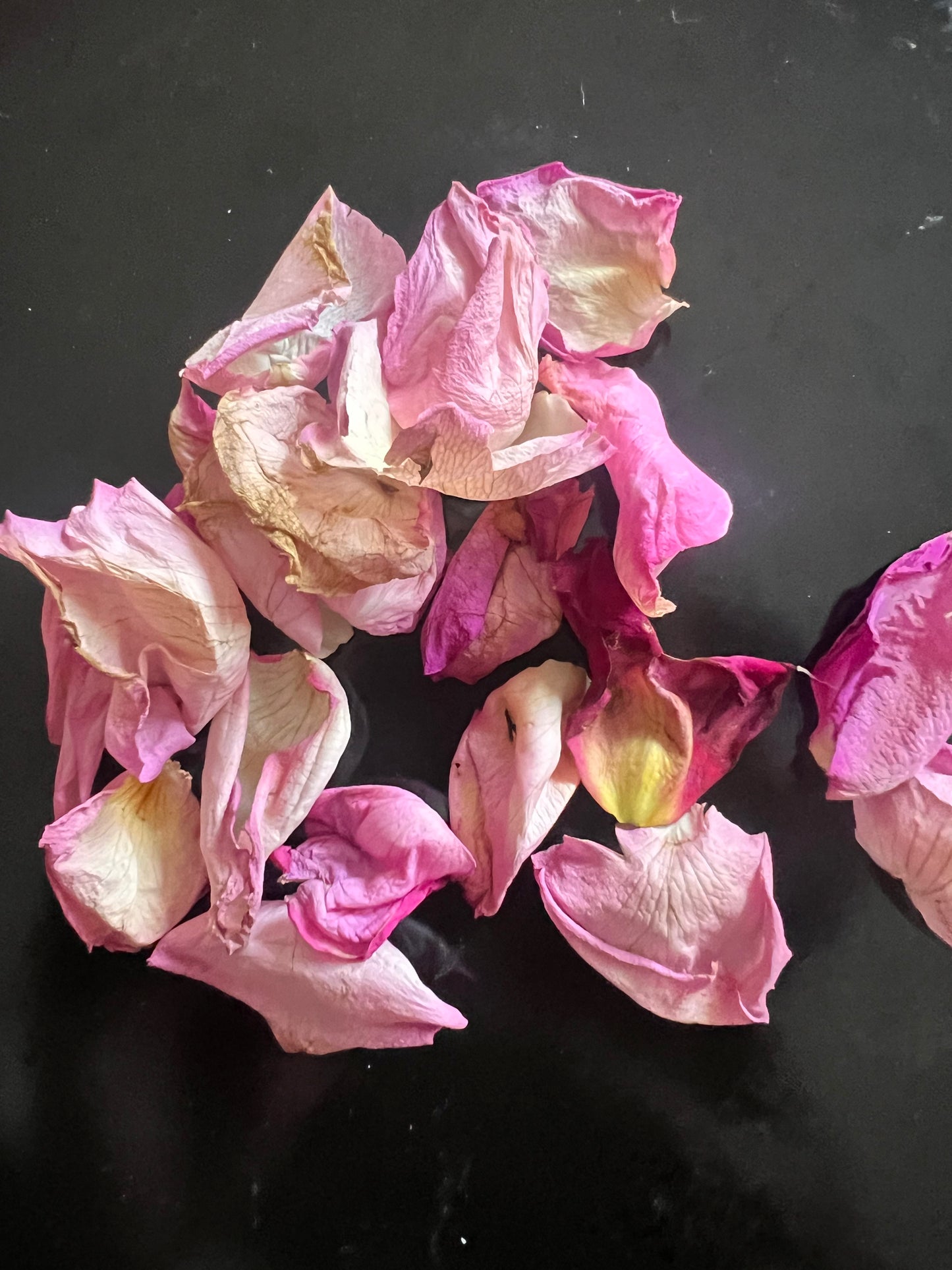 Rose Petals - Dried