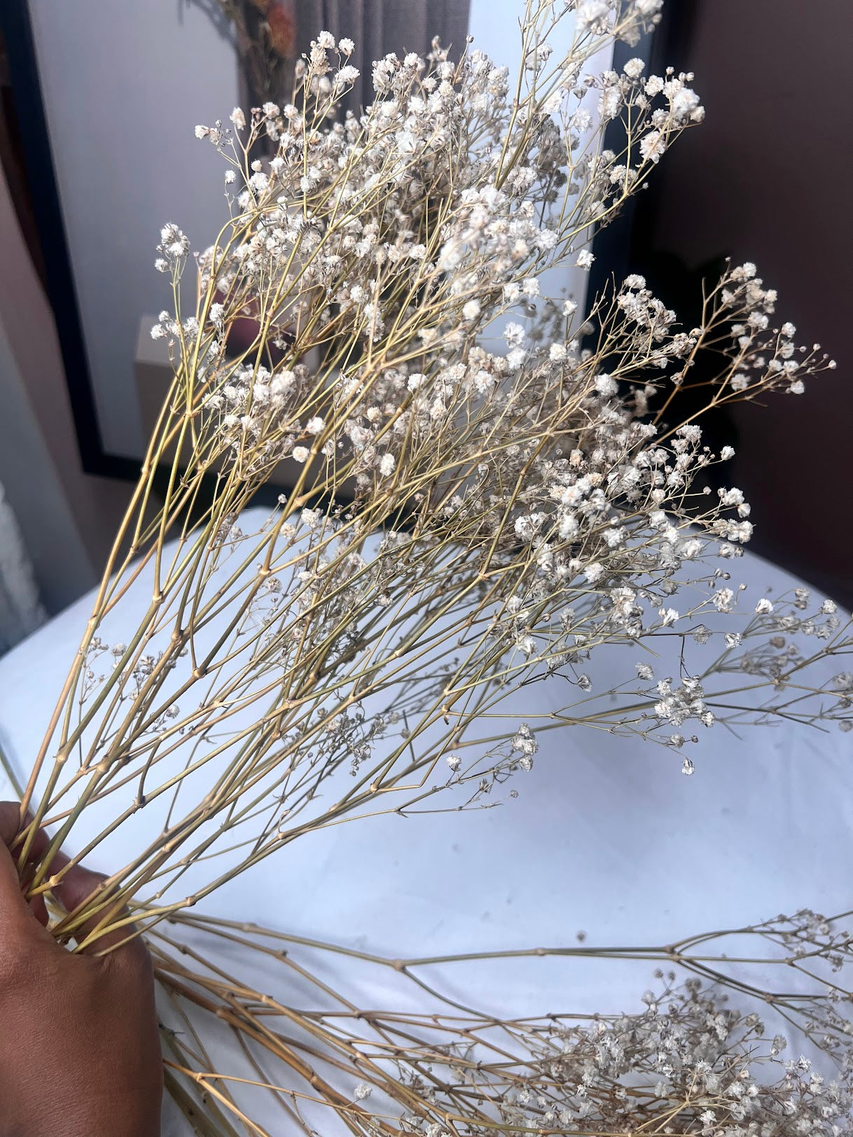 Bouquet of dried  baby's breath flowers held by a hand on a light-colored surface.
