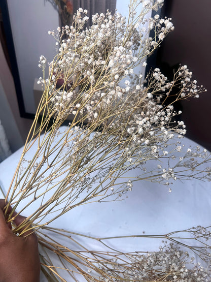 Bouquet of dried  baby's breath flowers held by a hand on a light-colored surface.