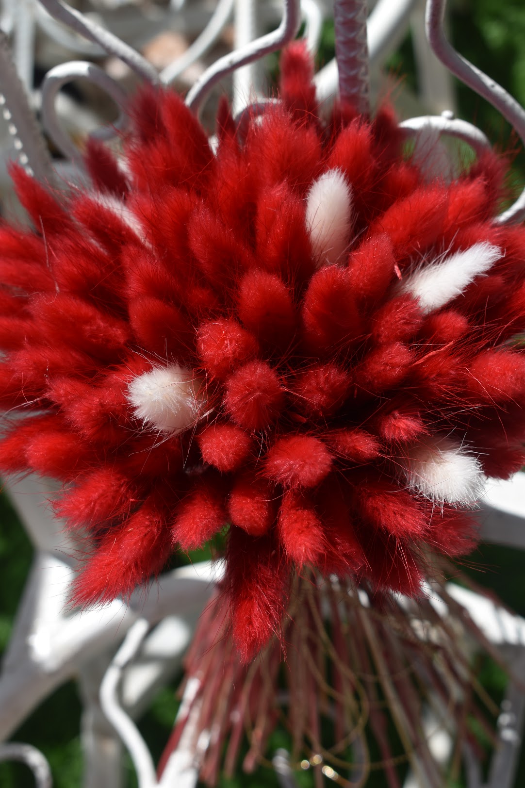 Red and white Bunny tail grass bouquet from kenyan lady fleur dried flowers shop.