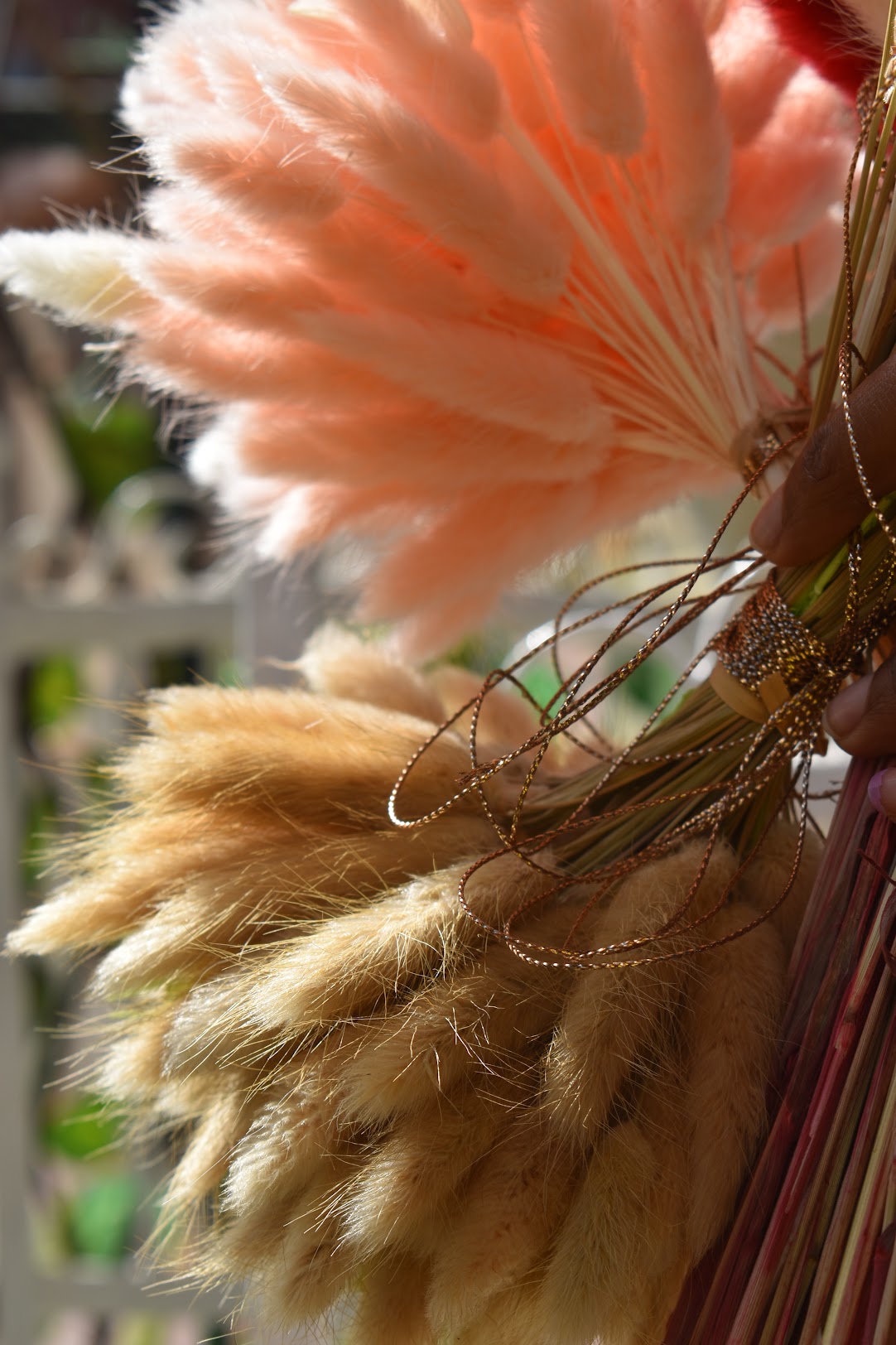 Bunny tail grass bouquets from kenyan lady fleur dried flowers shop.
