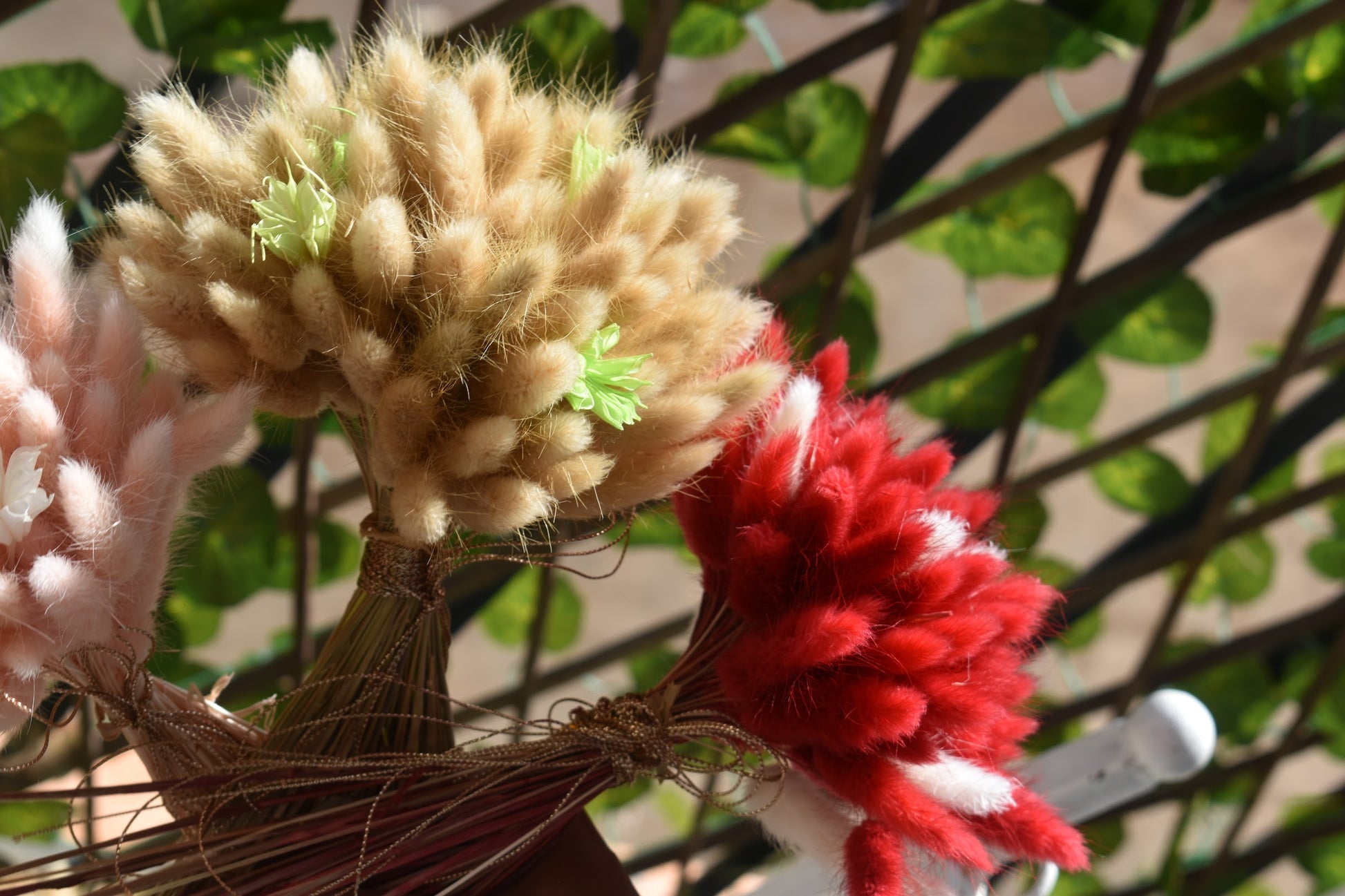 Bunny tail grass bouquets from kenyan lady fleur dried flowers shop, sunkissed.