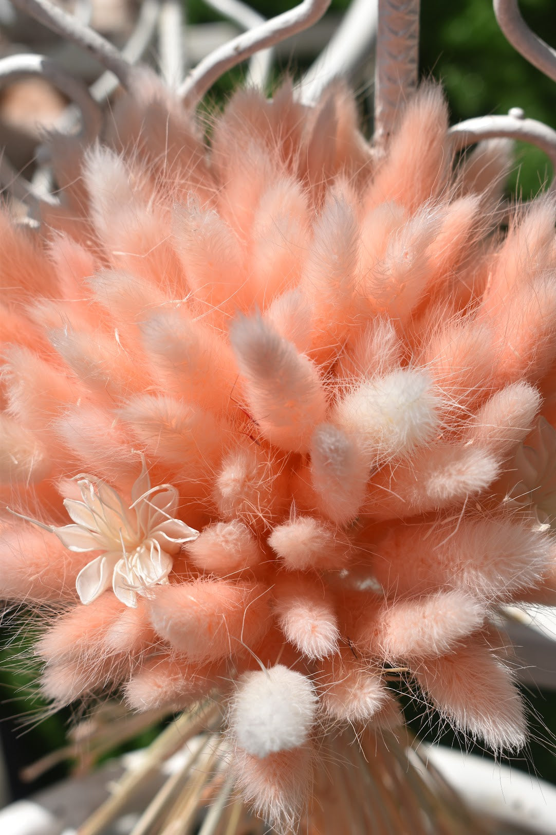 Pink Bunny tail grass bouquets with whit star anise fillers from kenyan lady fleur dried flowers shop.