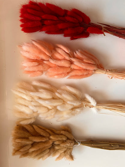 Bunny tail grass bunches from kenyan lady fleur dried flowers shop.