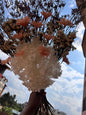 Bouquet of flowers with brilliant colours and soft colours existing in nature held against a blue sky with clouds.