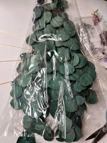 Eucalyptus-Green