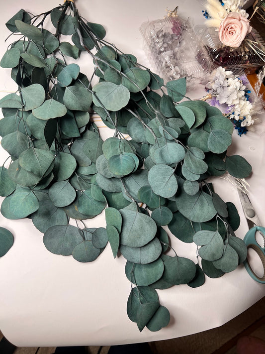 Eucalyptus-Green
