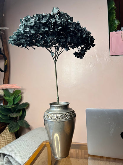 Hydrangea