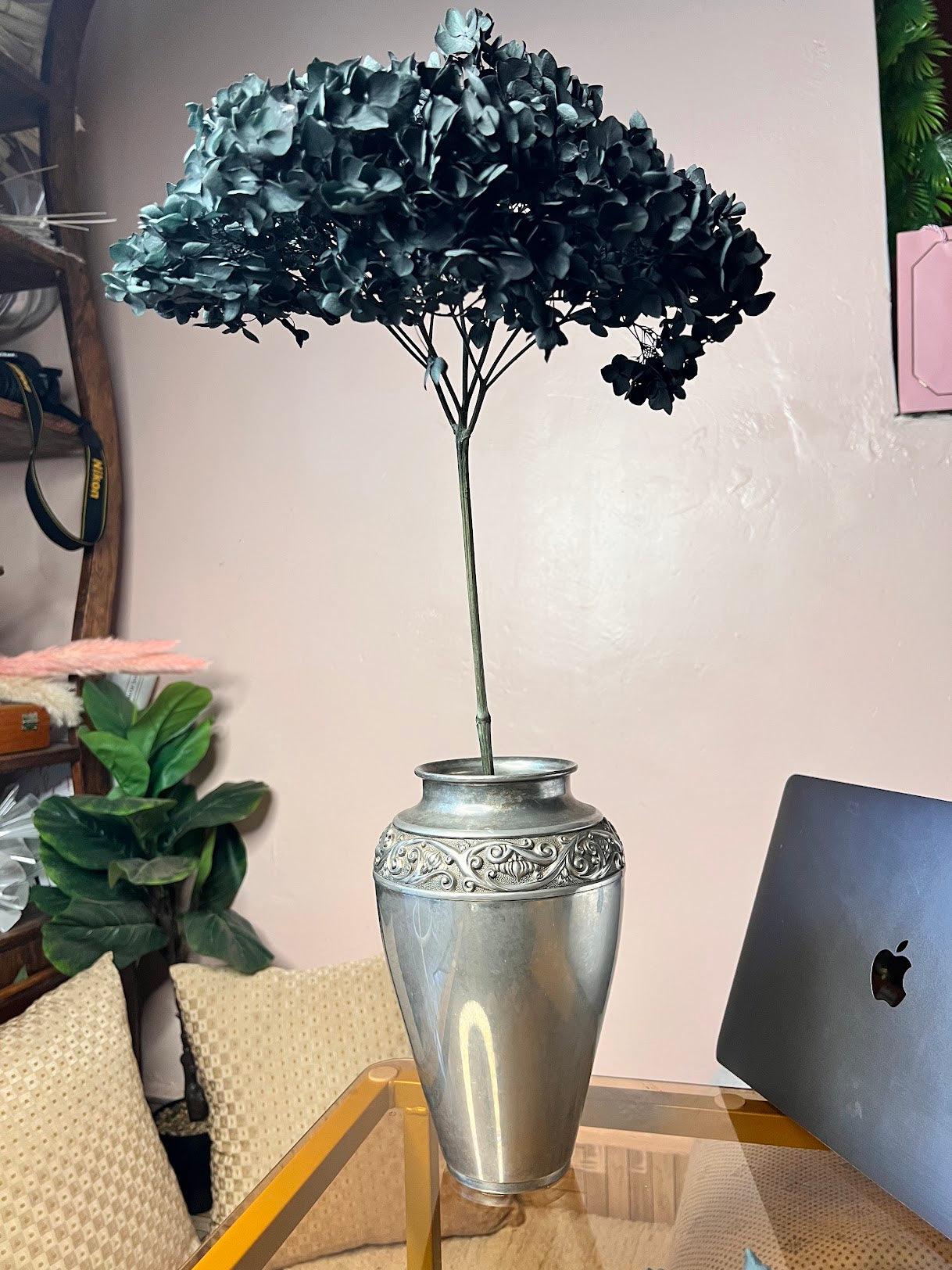 Hydrangea