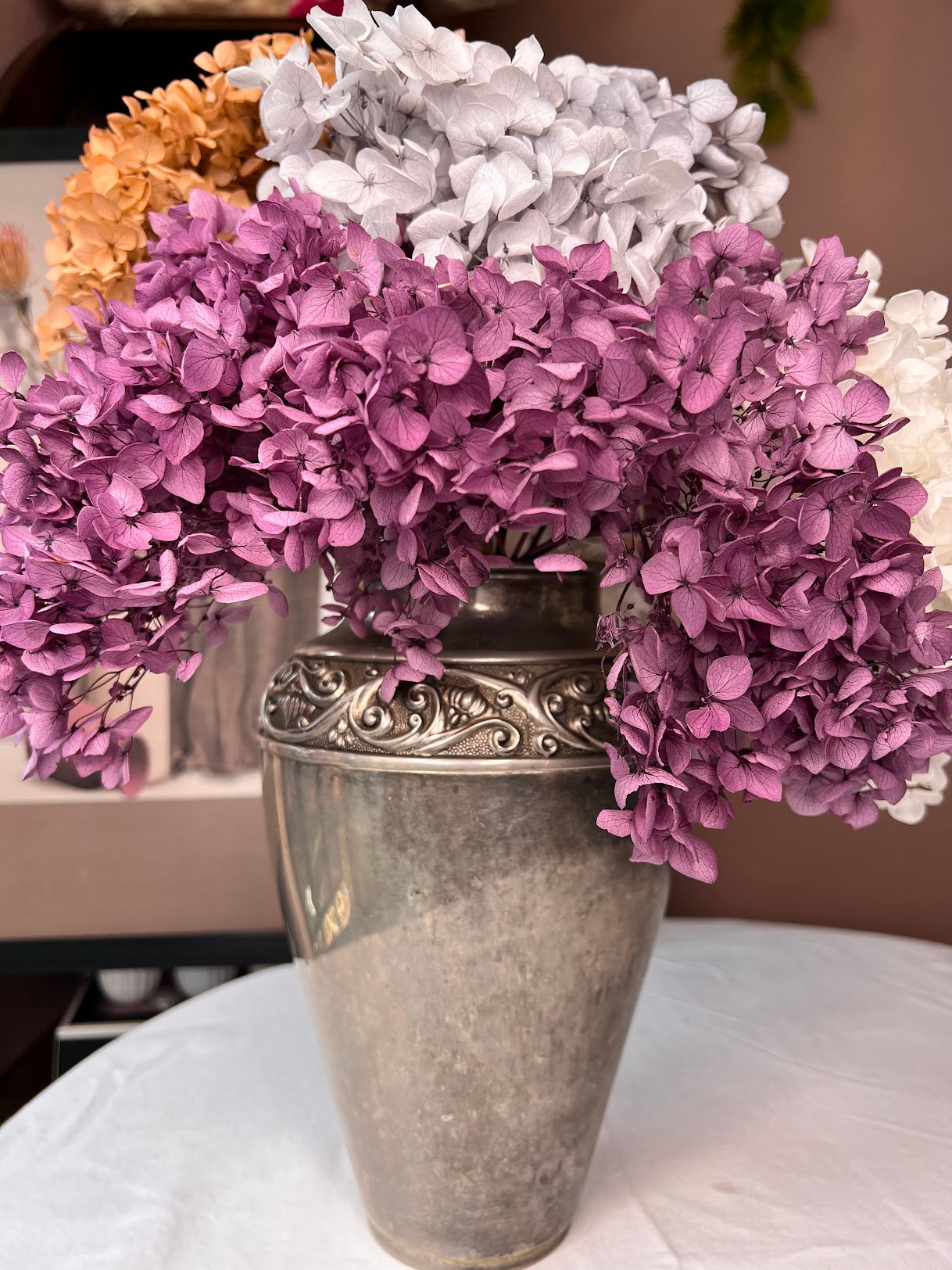 Hydrangea