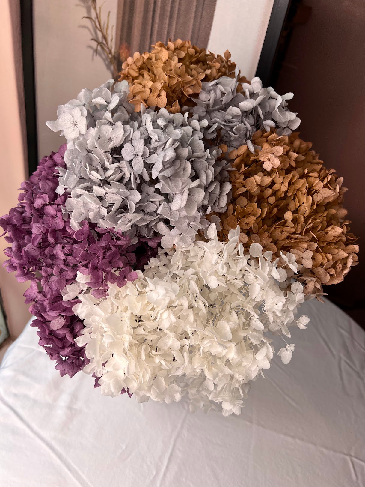 Hydrangea