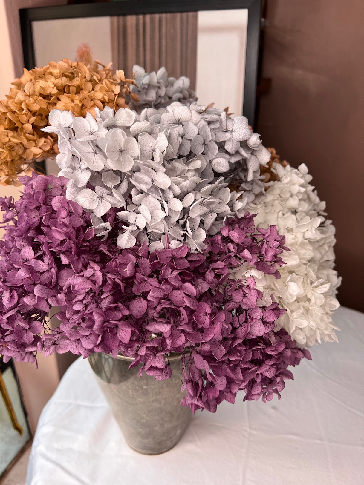 Hydrangea