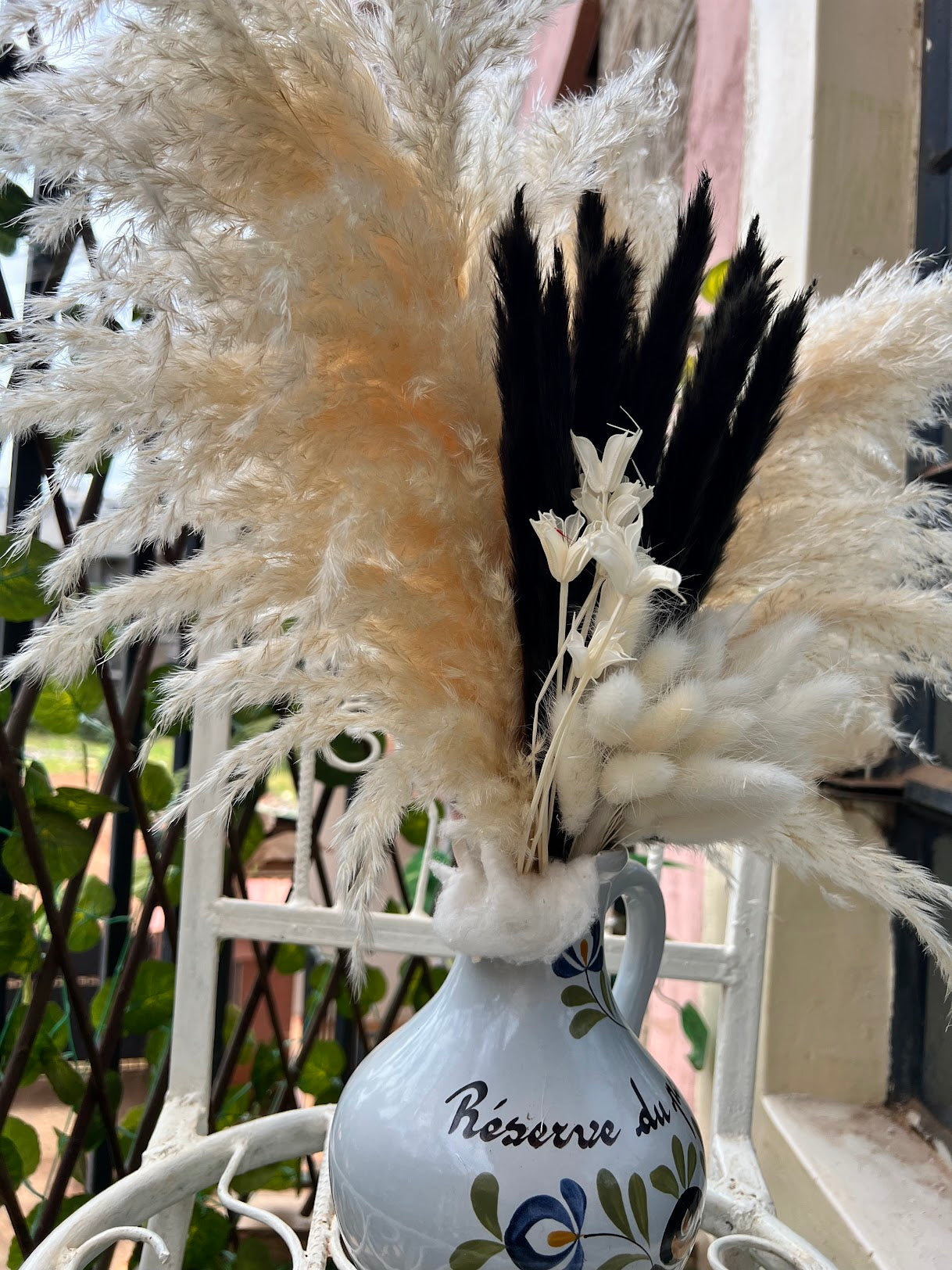 Small Pampas Grass