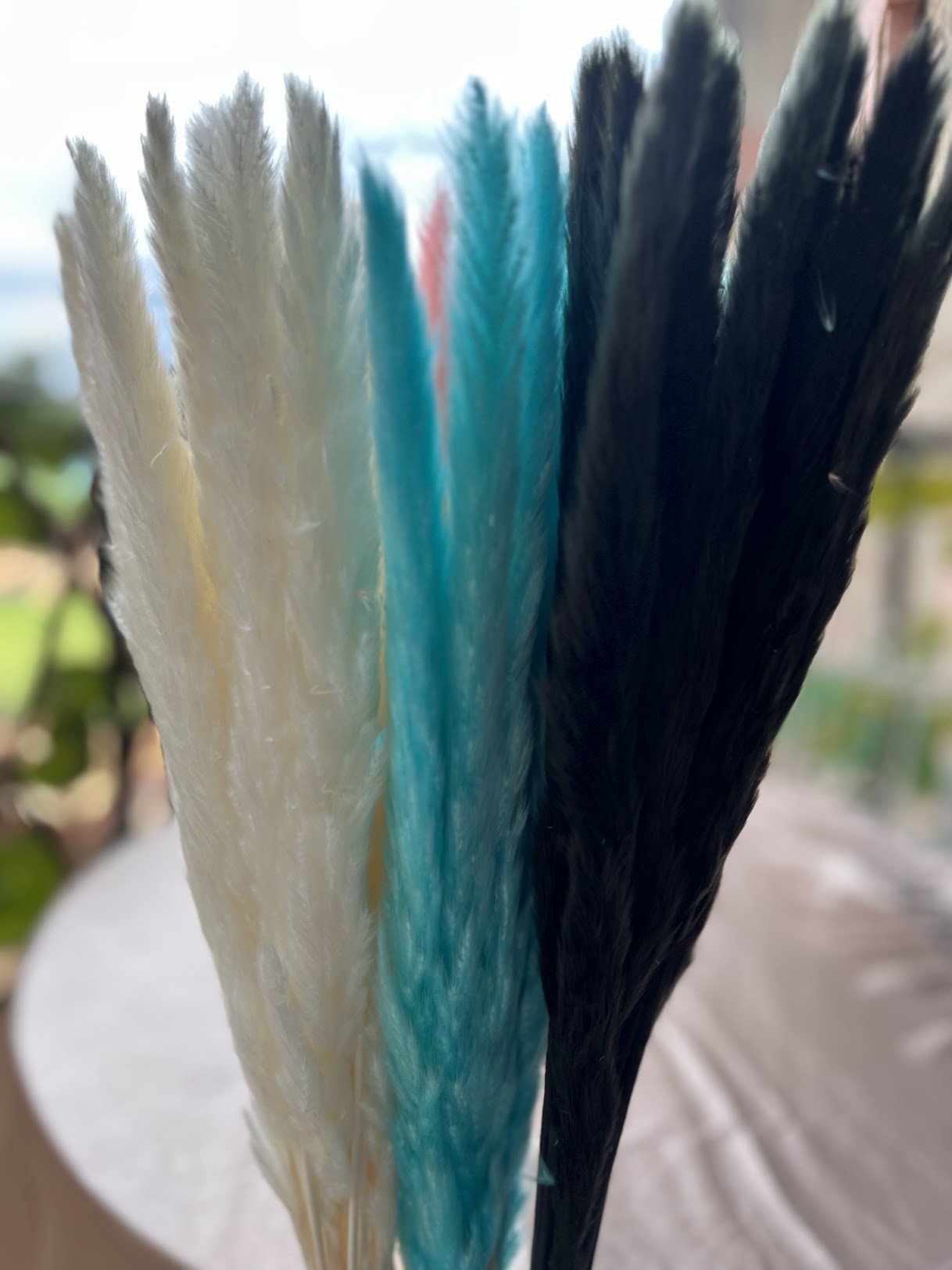 Close-up of three feathers in white, blue, pink, and black on a blurred background