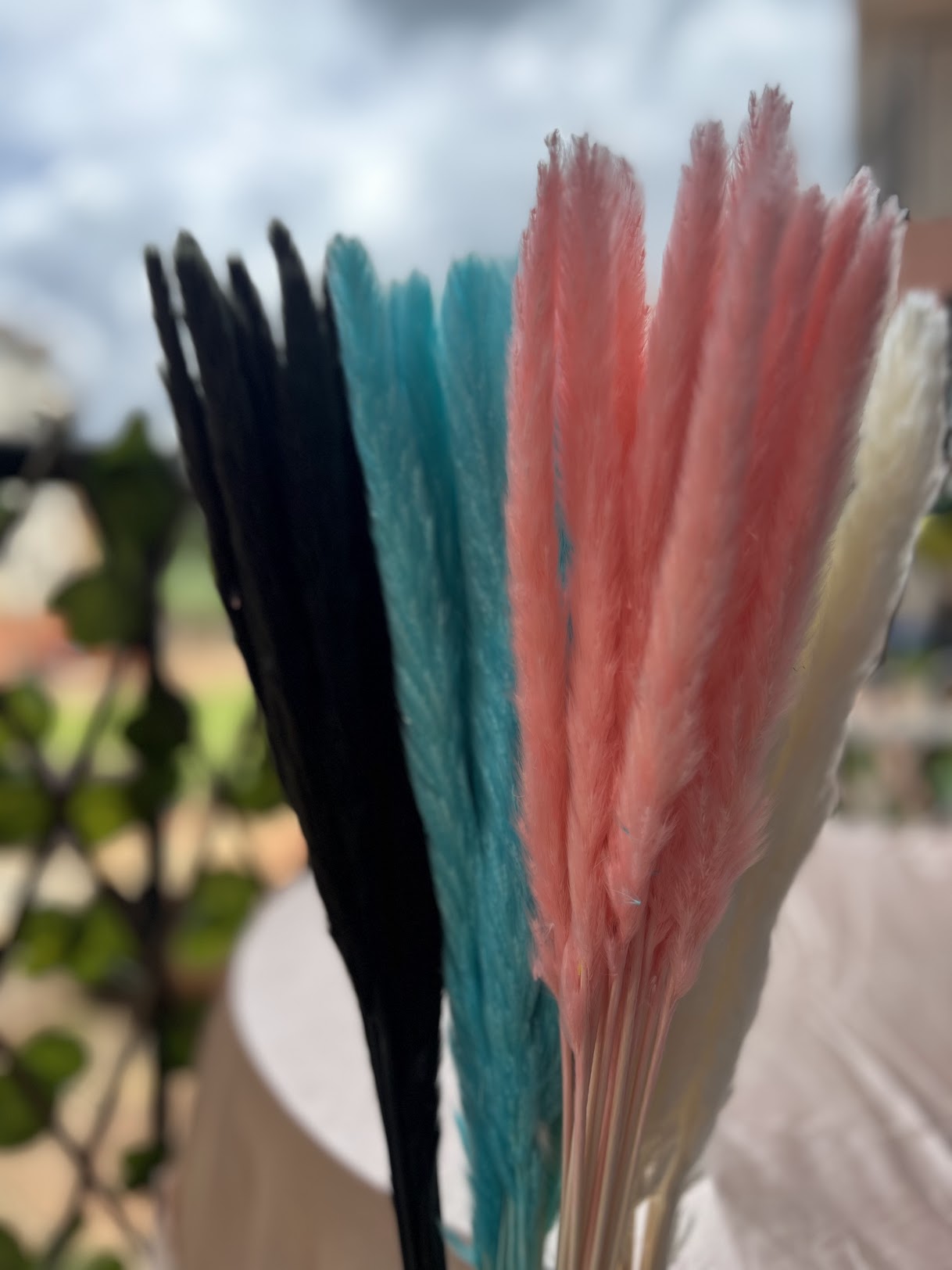 Set of colourful small pampas grass on a blurred natural background.
