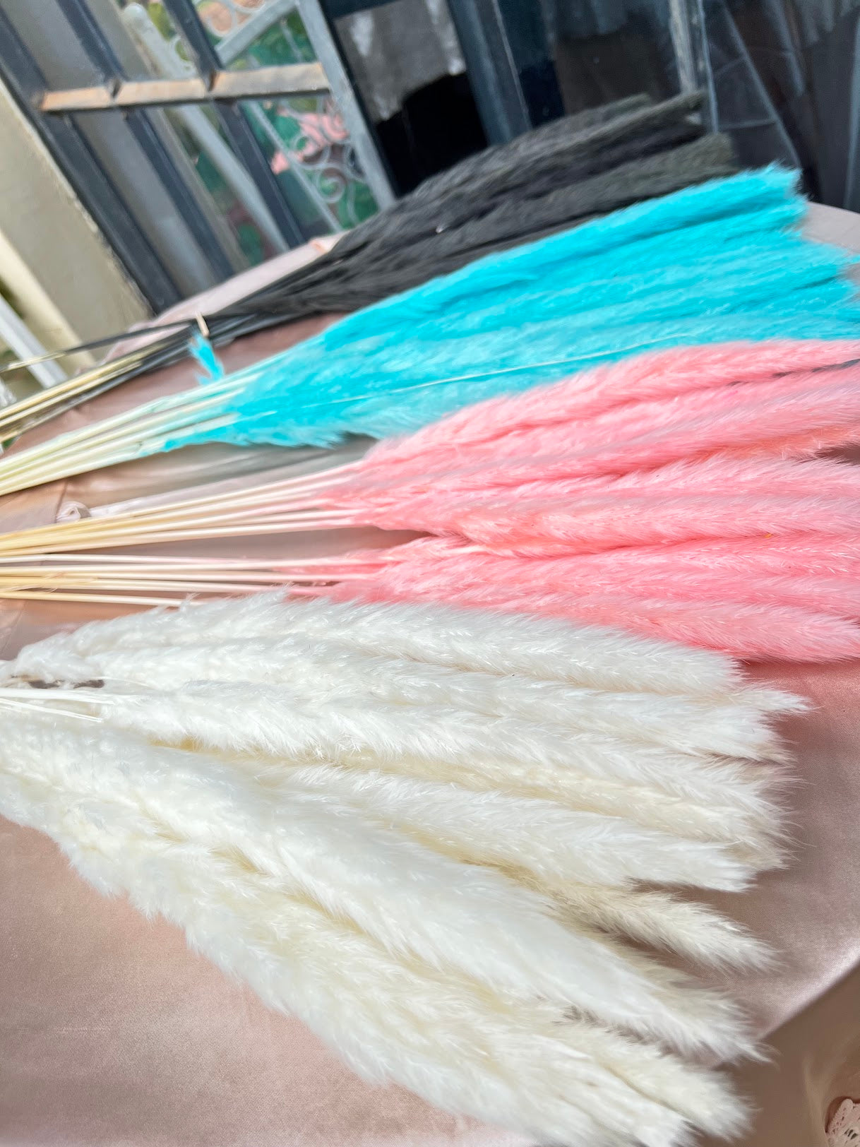 Small Pampas Grass