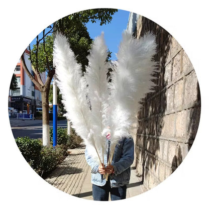 brilliant white pampas grass from Kenyan Lady Fleur dried flowers store.