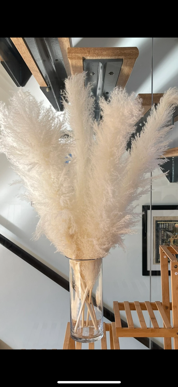 Brilliant white pampas grass from Kenyan Lady Fleur dried flowers store.
