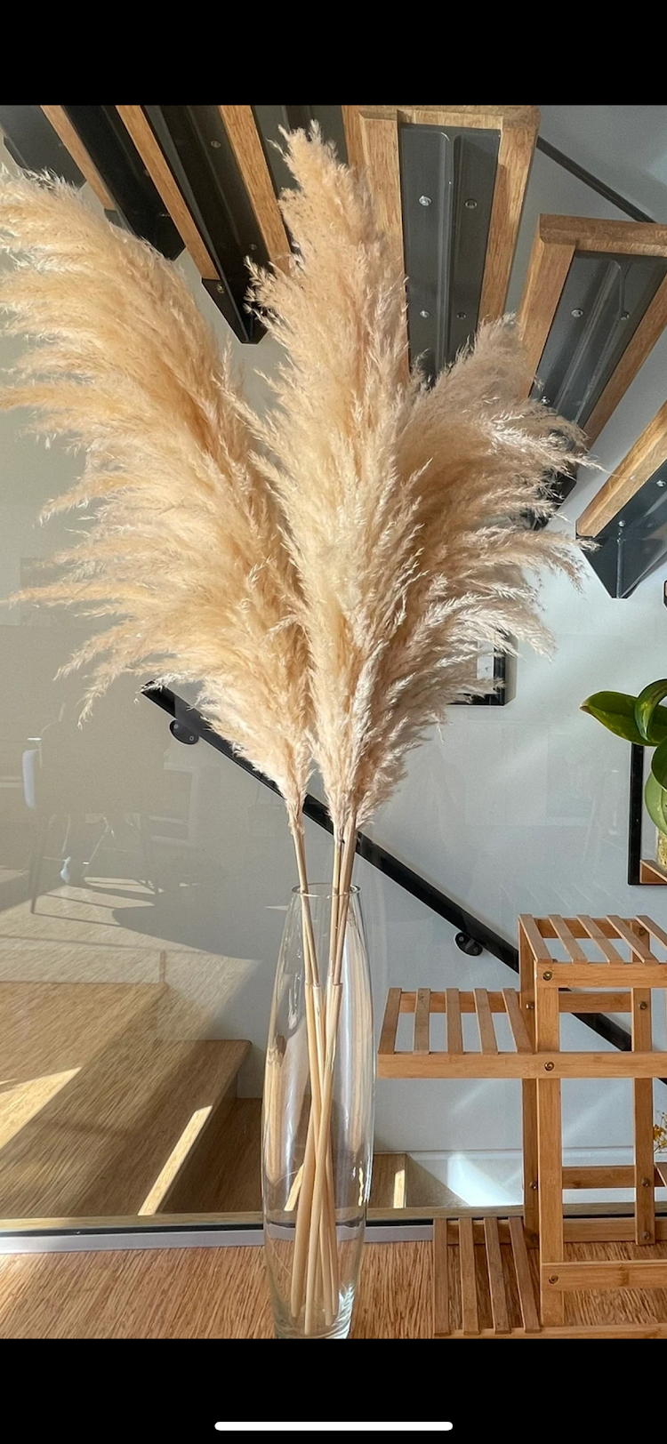 Beige pampas grass from Kenyan Lady Fleur dried flowers shop set up in a glass vase.