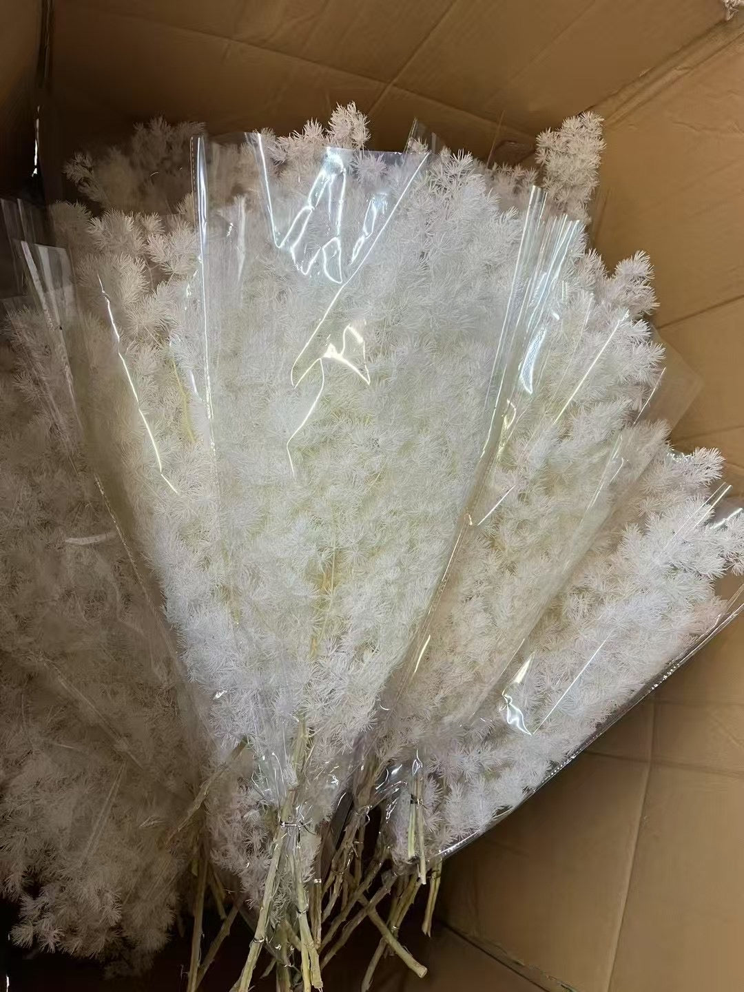 Preserved ming fern in white from kenyan lady fleur flower shop Nairobi for bulk sales to event planners.