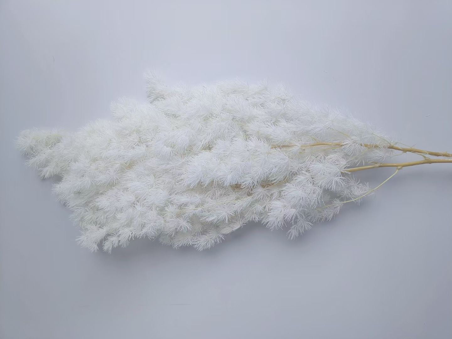 Preserved ming fern in white from kenyan lady fleur flower shop Nairobi.