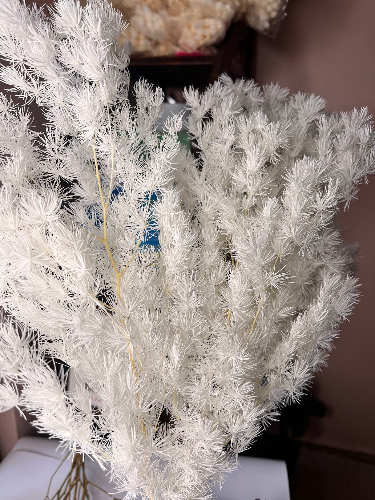 Preserved ming fern in white from kenyan lady fleur flower shop Nairobi.