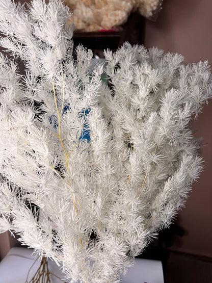 Preserved ming fern in white from kenyan lady fleur flower shop Nairobi.