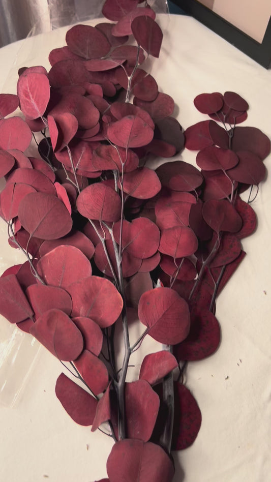 Brick red scented eucalyptus foilages bunch on a white surface.