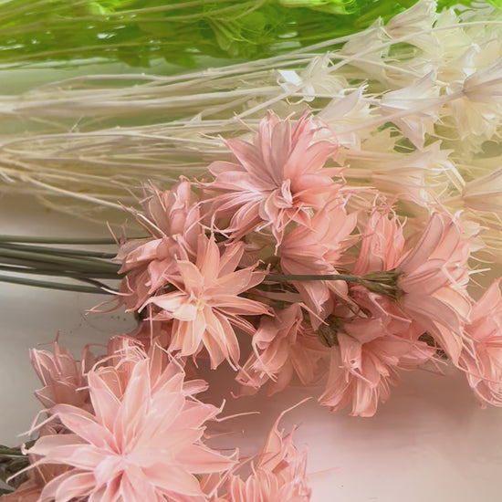 Star anise dried flowers home decor from kenyan lady fleur dried flowers shop.