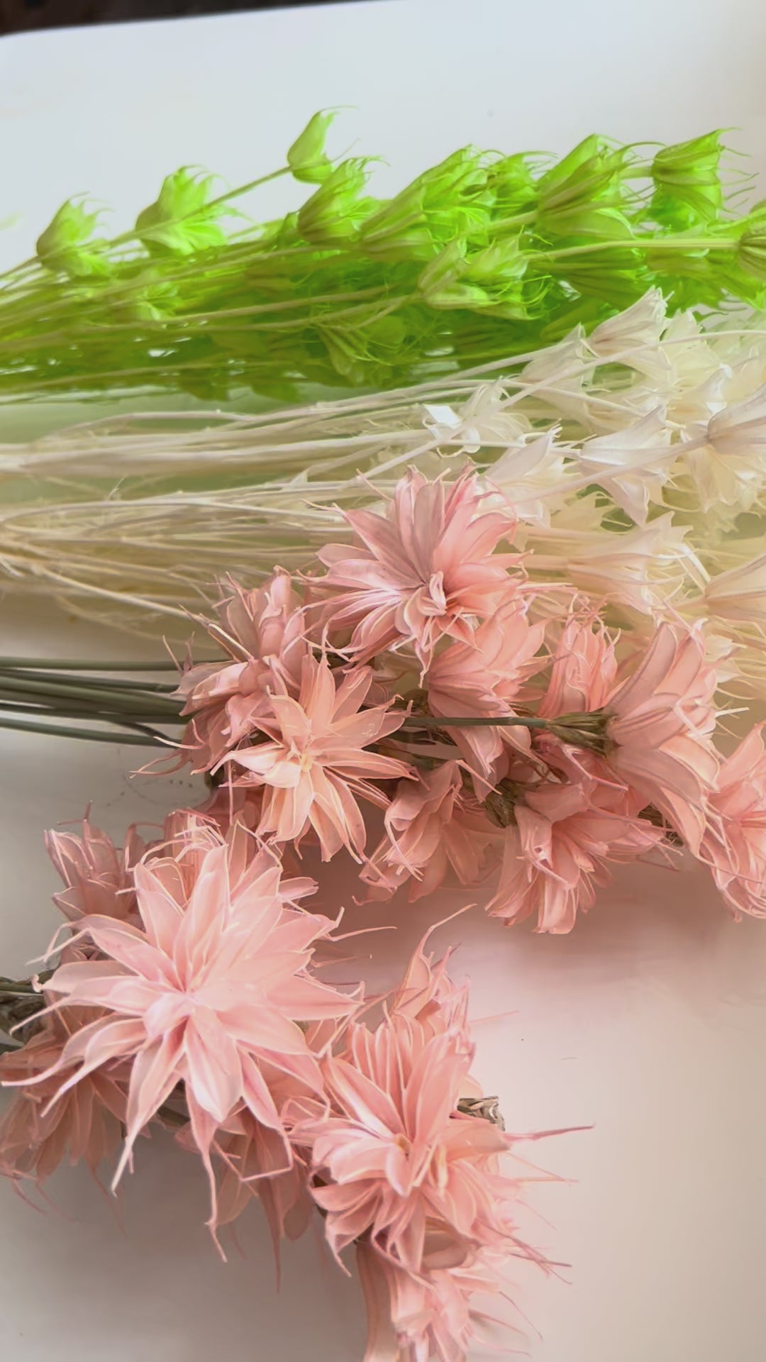 Star anise dried flowers home decor from kenyan lady fleur dried flowers shop.