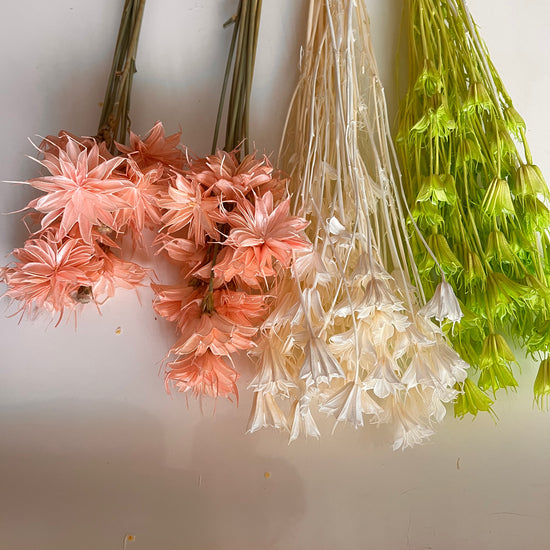Star anise dried flowers for cake decor  from kenyan lady fleur dried flowers shop.