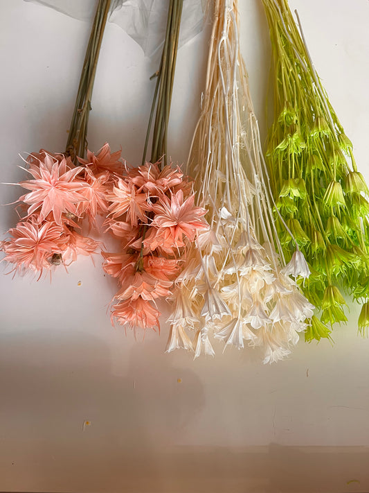 Star anise dried flowers for cake decor  from kenyan lady fleur dried flowers shop.