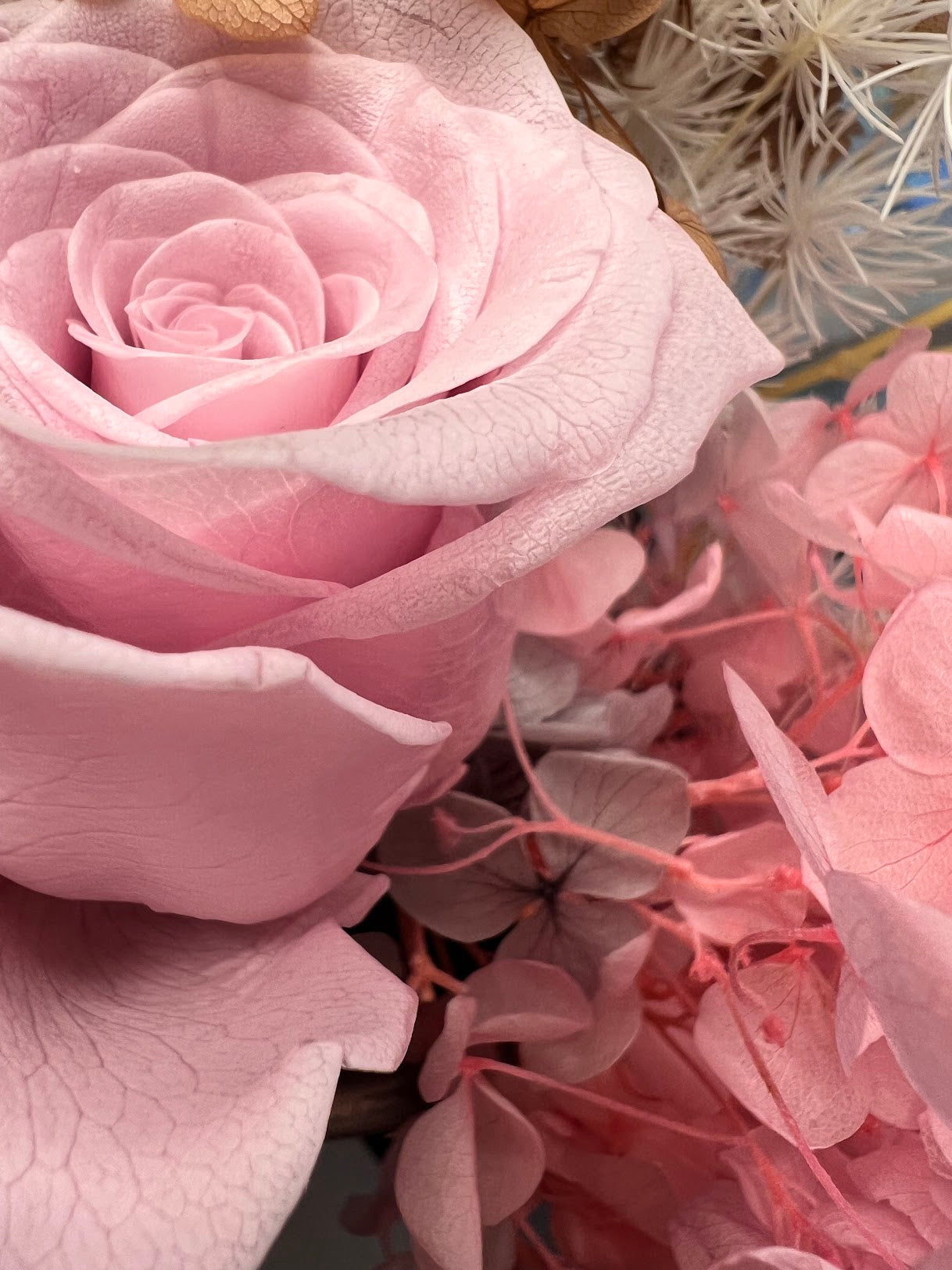 Close-up of a preserved baby pink rose surrounded by hydrangea dried flowers